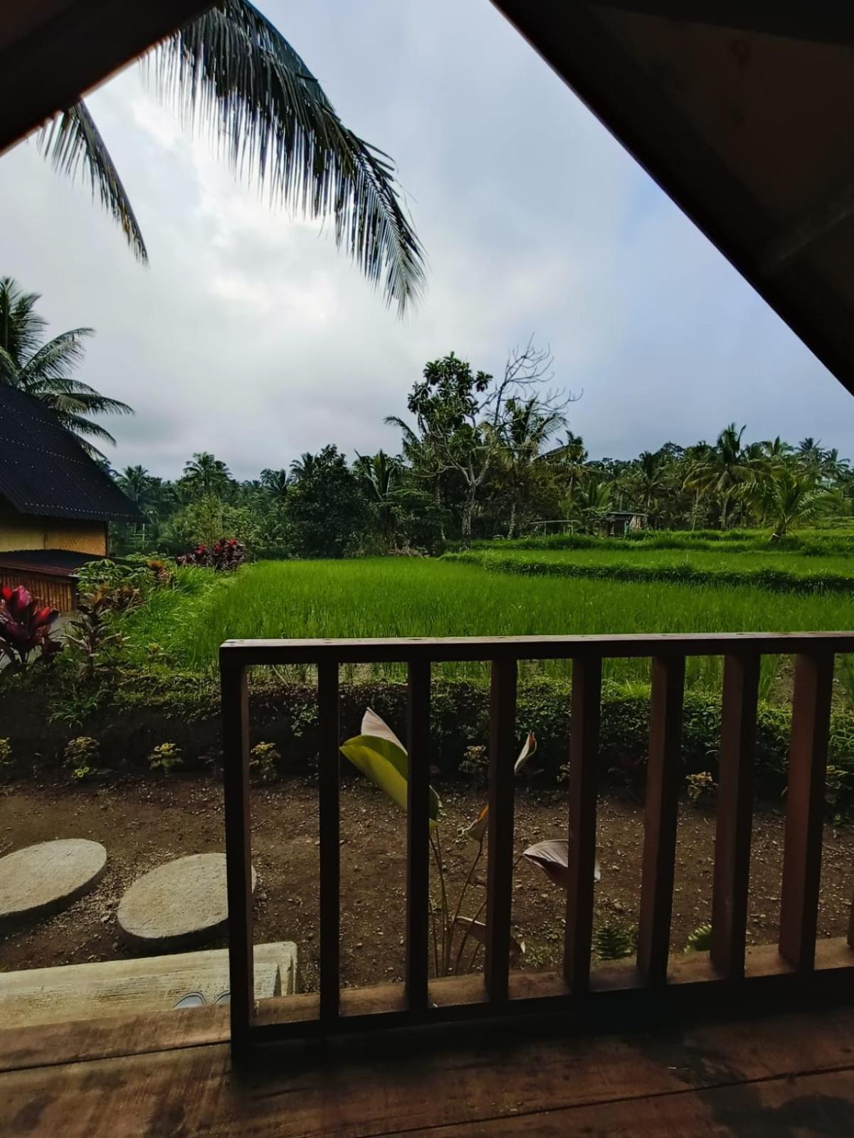 Dewi Rinjani Homestay Tetebatu Exteriör bild